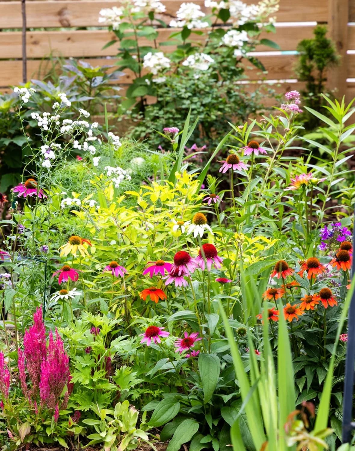 Hero Primary selected from Jennica Kassabian's plant and garden photography.