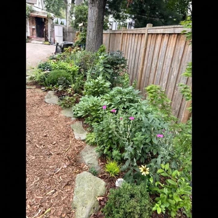 Pollinator Movement selected from Jennica Kassabian's plant and garden photography.