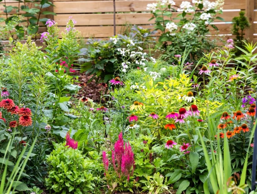 Soft Moon Garden selected from Jennica Kassabian's plant and garden photography.