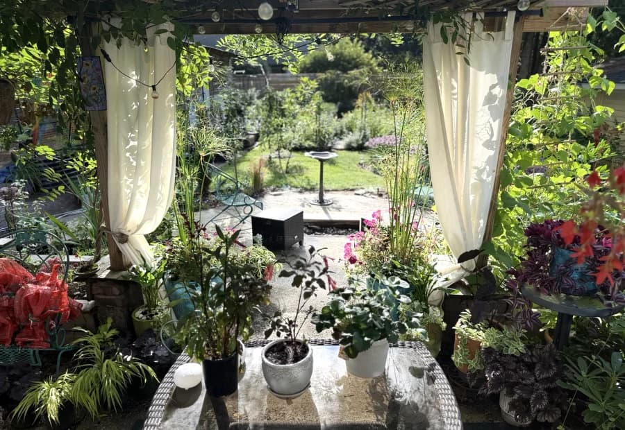 Coaching selected from Jennica Kassabian's plant and garden photography.