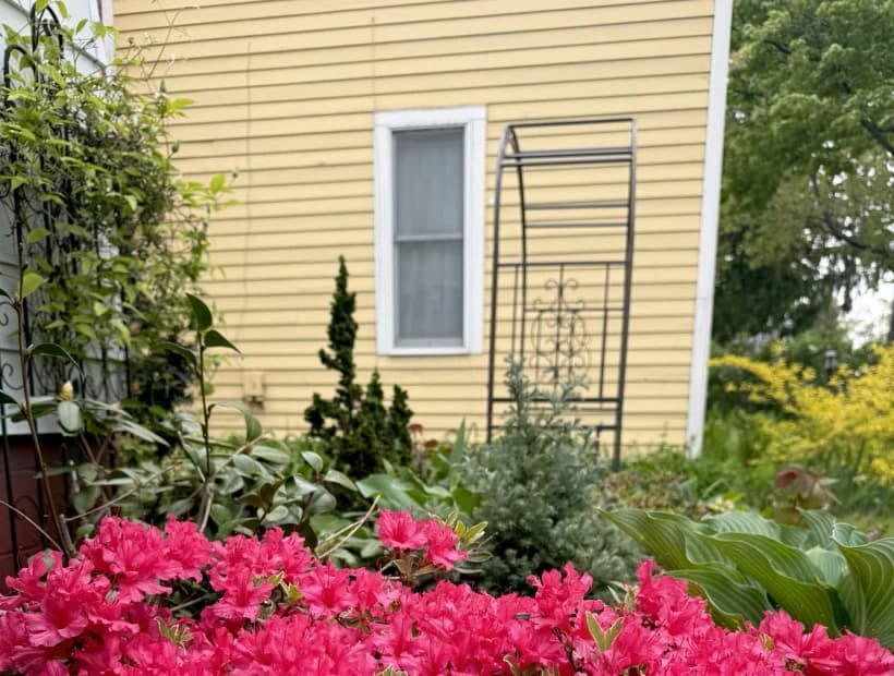 Cottage Color selected from Jennica Kassabian's plant and garden photography.