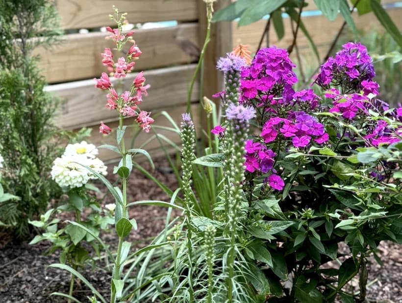 Four Season Structure selected from Jennica Kassabian's plant and garden photography.